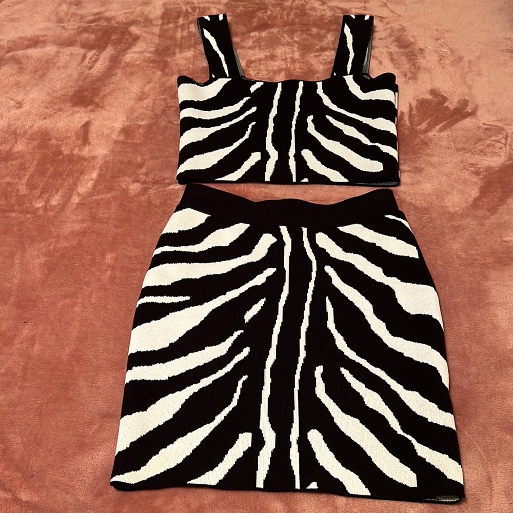New Two Piece Zebra Print Crop Top Mini Skirt Set 😍 Size small. Boutique brand
